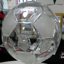 DAFC Match Sponsor trophy 
